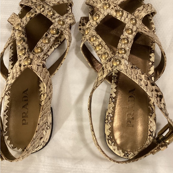 Prada Studded Snakeskin Sandals - Picture 7 of 11